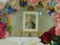 那珂市愛犬マリちゃん