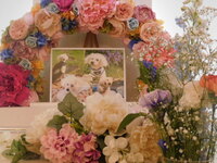 日立市愛犬凛太朗ちゃん