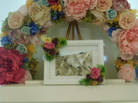 水戸市愛猫ソラちゃん