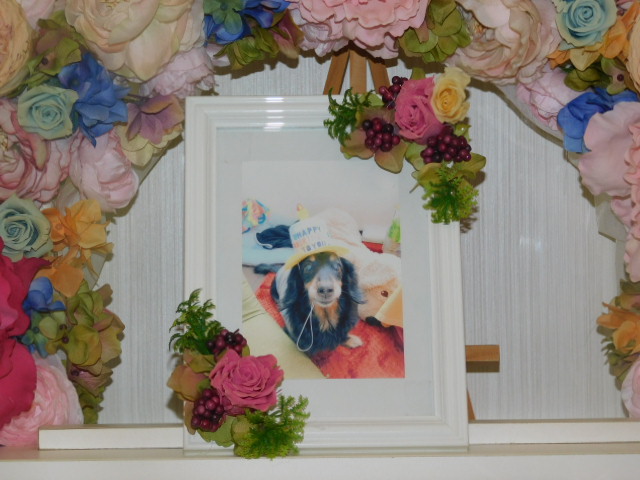 DSCN6259.JPG