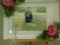 水戸市愛犬まめちゃん