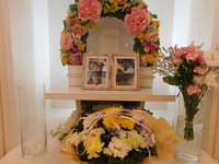 日立市愛犬ゴマ男ちゃん