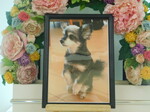水戸市愛犬ココちゃん