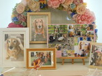 ひたちなか市愛犬ねねちゃん