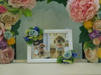 常陸太田市愛犬バズちゃん