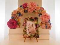 水戸市愛犬コロンちゃん