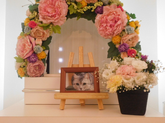 高野家勘助ちゃん.JPG