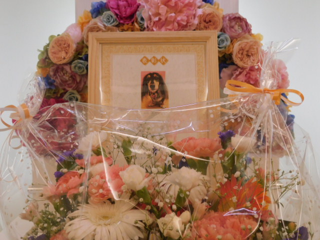 DSCN6419.JPG