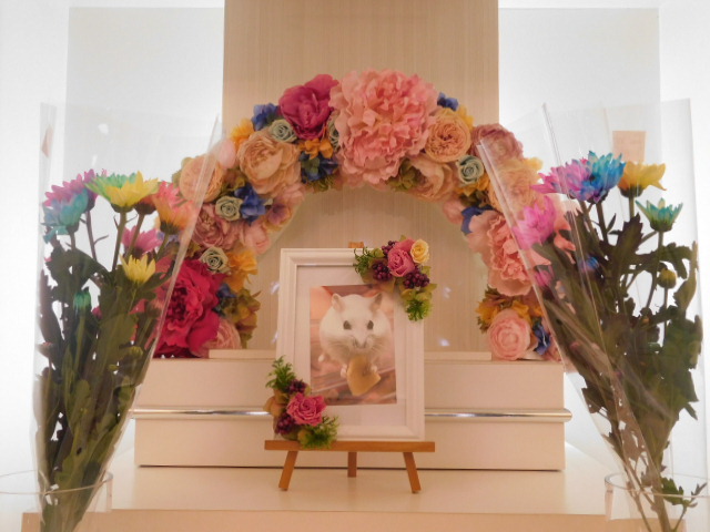 吉田家みるくちゃん.JPG