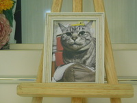 水戸市愛猫まあちゃん