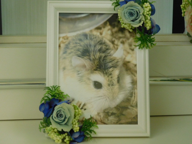 DSCN6612.JPG