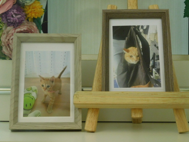 DSCN6614.JPG