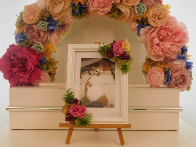 DSCN6617.JPG