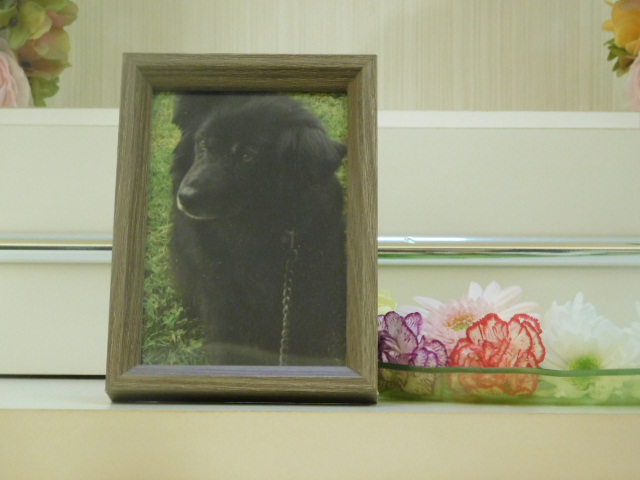DSCN6664.JPG