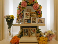 水戸市愛猫こたろうちゃん