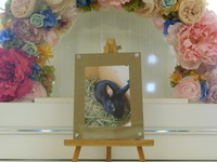 茨城町愛兎黒豆ちゃん