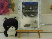 常陸大宮市愛猫クロちゃん