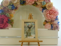 水戸市愛犬樹里ちゃん