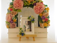 水戸市愛猫しろちゃん