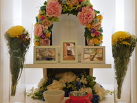 常陸太田市愛猫ゆずちゃん