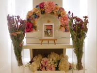 笠間市愛犬ハートちゃん