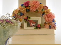 水戸市愛犬サンタちゃん