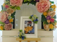 常陸大宮市愛猫まさむねちゃん