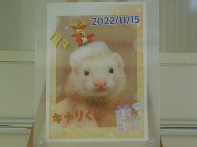 DSCN6711.JPG