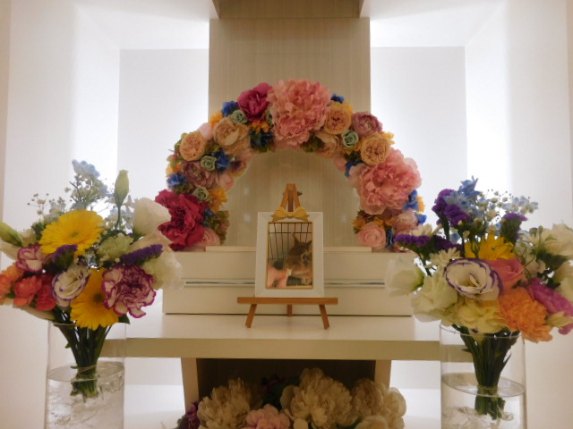 DSCN6724.JPG