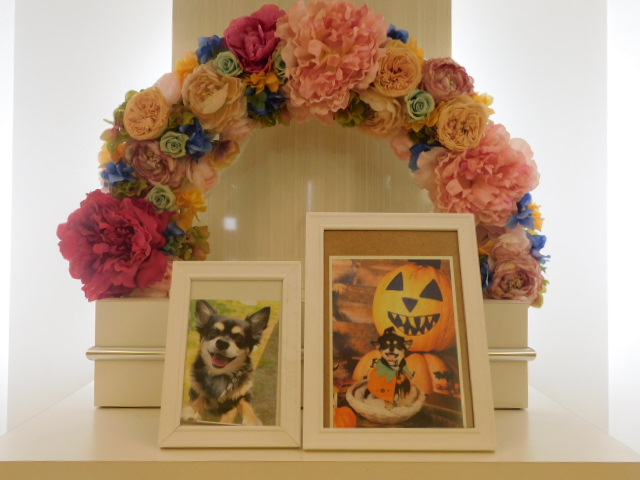 DSCN6727.JPG