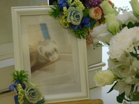 ひたちなか市フェレット・ルブアちゃん