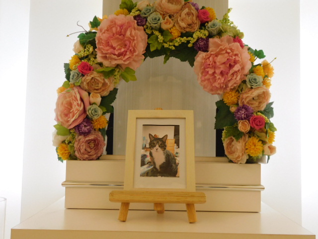DSCN6827.JPG