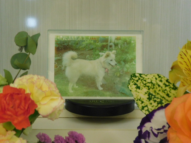 DSCN6829.JPG