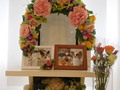 常陸太田市愛犬イヴちゃん