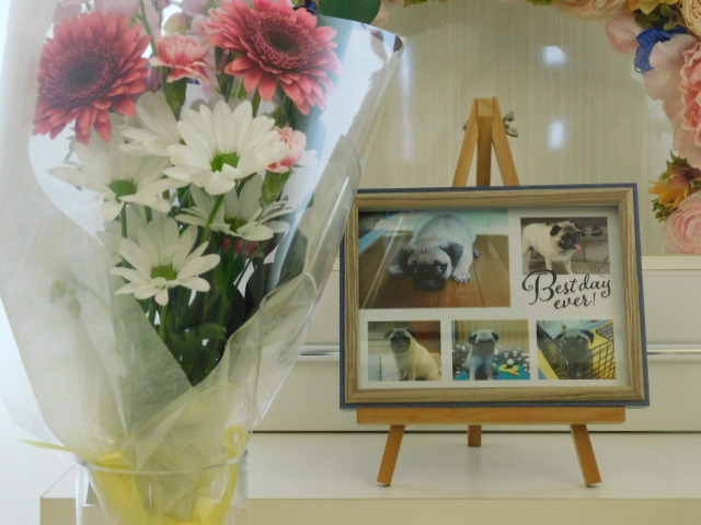 小室家愛犬プア.JPG