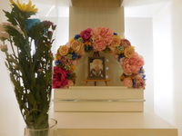 笠間市愛兎カービィちゃん