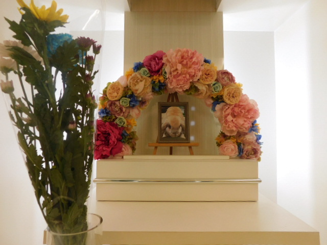 植木家カービィ.JPG