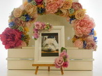 水戸市愛犬ばななちゃん