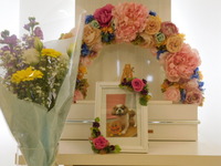 日立市愛犬チョコちゃん