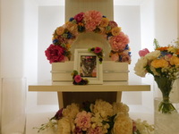 水戸市愛猫レモンちゃん