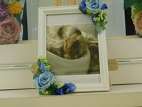 笠間市ファンシーマウス・はなちゃん