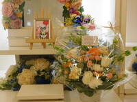 水戸市愛犬たろうちゃん