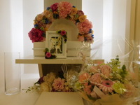 水戸市愛犬花子ちゃん