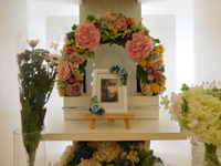 笠間市愛猫ニャンニャンちゃん