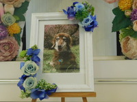 ひたちなか市愛犬BARONちゃん