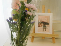 笠間市愛犬ヒロちゃん