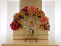 笠間市愛犬チロちゃん