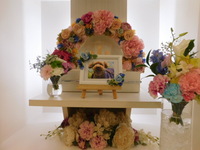 ひたちなか市愛犬二コラちゃん