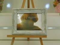 那珂市愛犬チョコちゃん