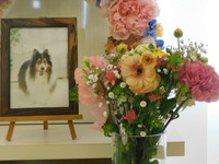 日立市愛犬チェリーちゃん